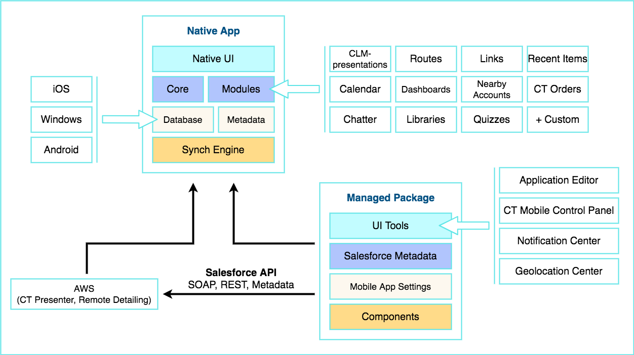 CT Mobile Architecture