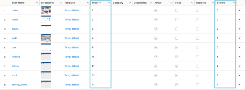 ctpresenter slides structure