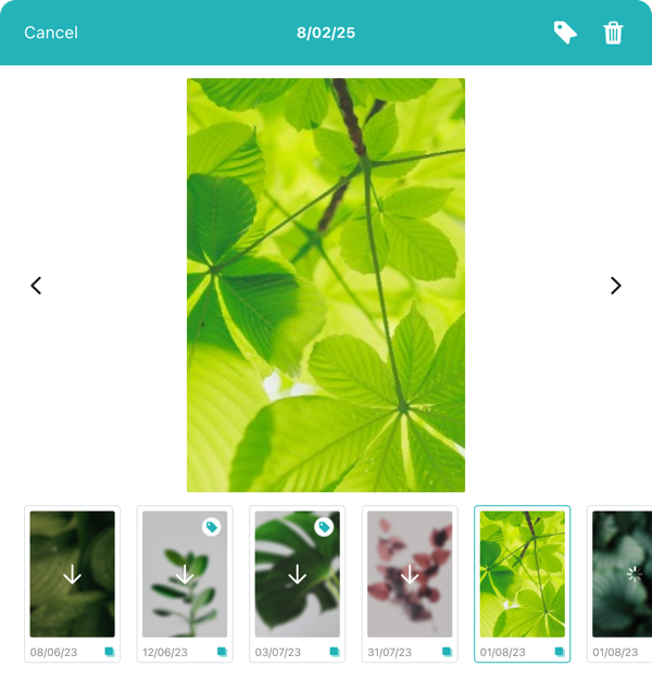 pictures gallery ios 3 0